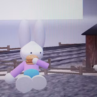 Fitt Bunny And Dog