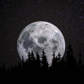 moon <33
