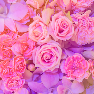 flower background