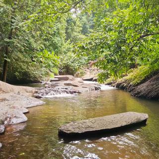 Nature hd wallpaper