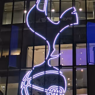Tottenham Hotspur 