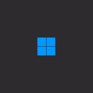 Windows Material Dark