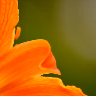 Zoomed View