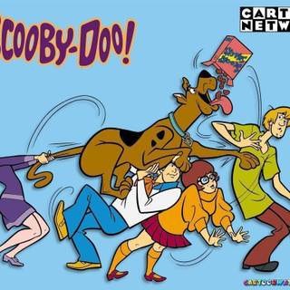 Scooby doo