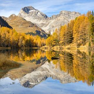 Mountain Lake Yellow Trees Autumn