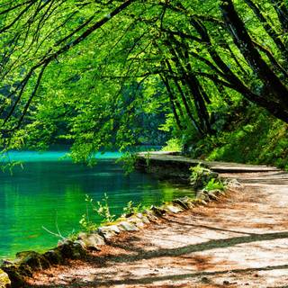 Plitvice Lakes National Park Croatia