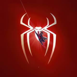 Spiderman City Guardian