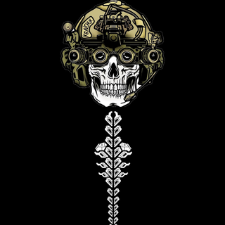 Soldier Skull