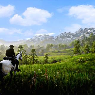 Red Dead Redemption II 4K Wallpaper / By CAPTAIN 