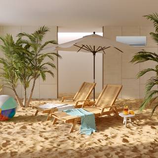 Aesthetic Indoor Beach Roo