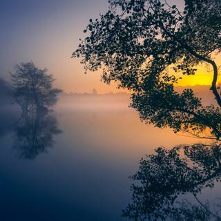 Sunrise Mist Over The Lake