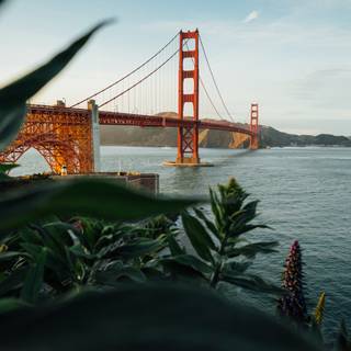 Golden Gate Bridge San Francisco