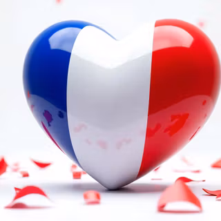 Flag Of France