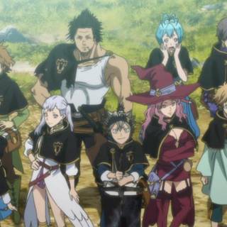 Black Bulls 