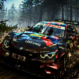 Race the Endurance