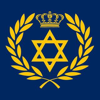 Metzad logo (blue and gold) 1920x1080 FULL HD