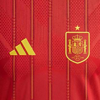 Spain jersey 