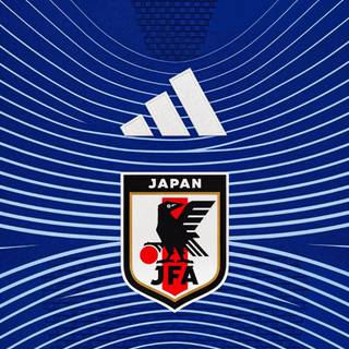 Japan jersey 