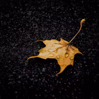 4k Dark Theme Wallpaper