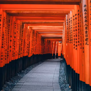 Dark Japanese