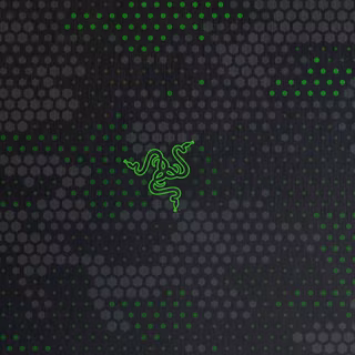 Razer Logo