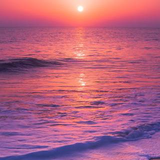 Shore