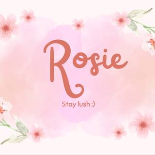 Rose wallpapers