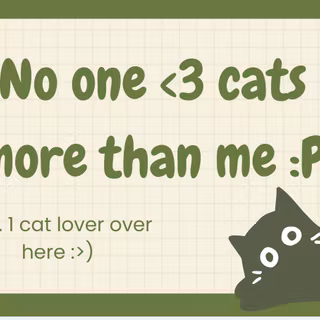 Cat lovers wallpapers