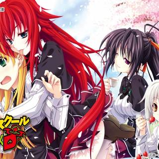 Rias Gremory 