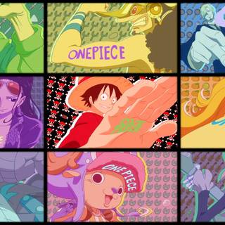 Luffy and Nami Robin Zoro Sanji  Franky CHopper BRook
