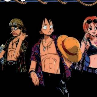 Luffy and Nami Zoro  one peice wallpaper
