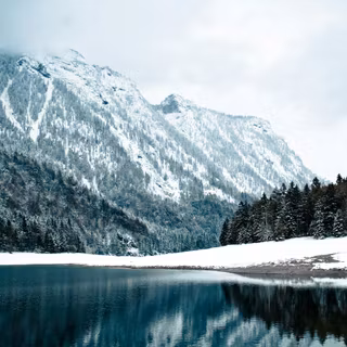 Frozen Alpine Lake Snow Forest View