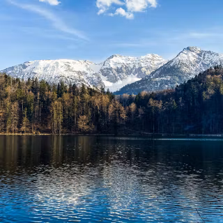 Landscape Of The Lake Alatsee In Bavaria Germany