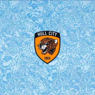 Hull City