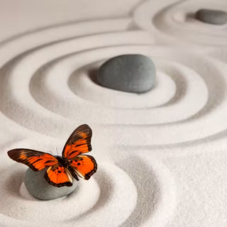 Japanese Zen Garden Sand Circles
