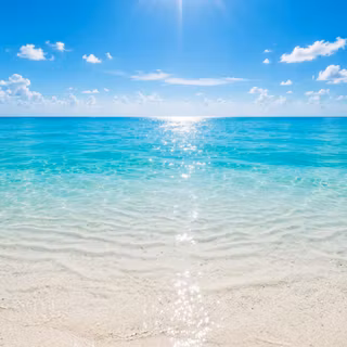 Tropical Beach Summer Aesthetic