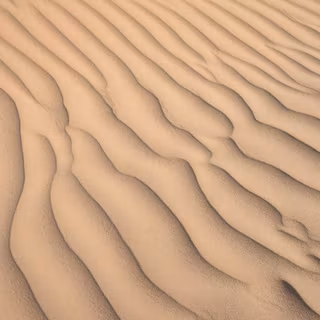 Desert Sand Texture