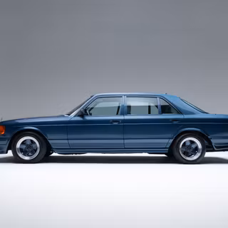 AMG 500 Sel Blueberry
