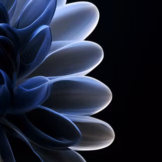 Fantasy Flower