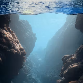 Sea