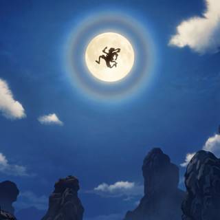 one piece gear 5