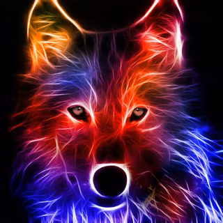 Vivid wolf colourful 4K
