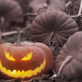 Halloween Pumpkin