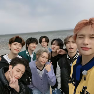 Stray kids 