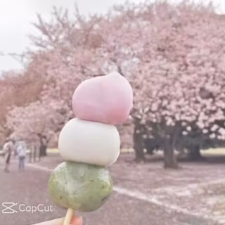 mochi 