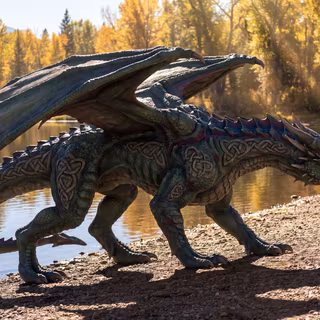 Celtic Dragon, Alice Lake, Blaine County, Idaho