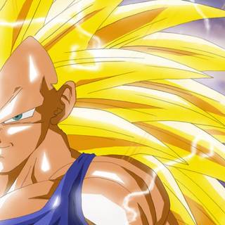   if Vegeta  got super Saiyan 3 in dragon ball z : and Goku did't,and just had super Saiyan 2.