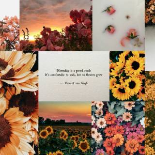 Cute Wallpaers