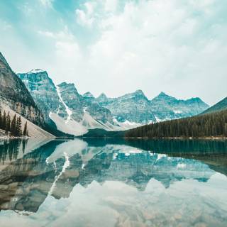 Nature wallpaper