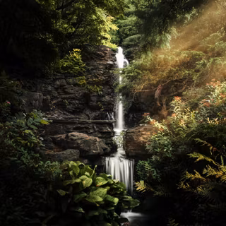 Royal Botanical Gardens waterfall